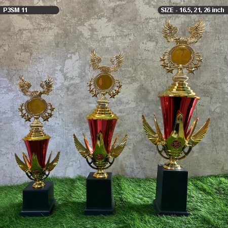 P3SM 11 Set