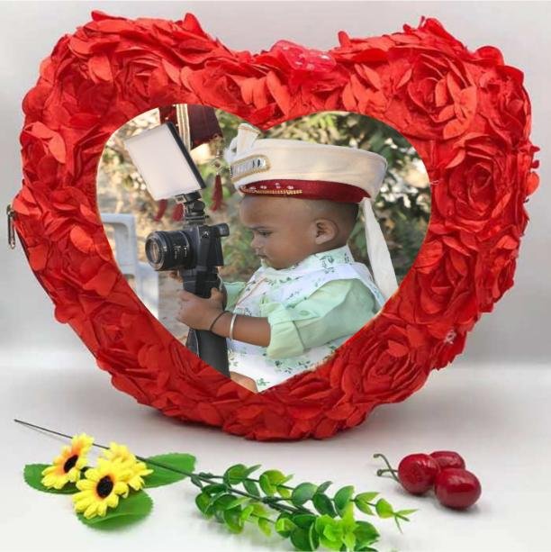 Heart Rose Petal Pillow